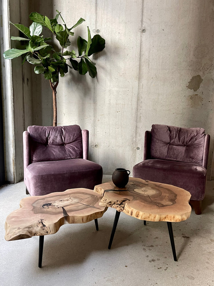 Couchtisch Massivholz Baumscheibe