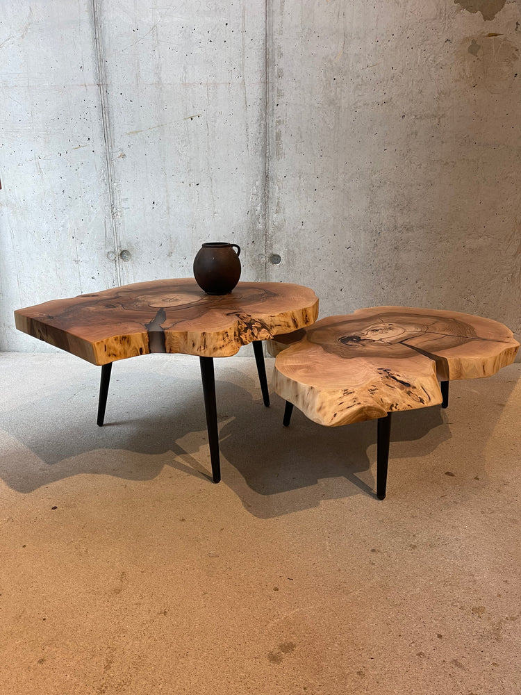 Couchtisch aus einer Baumscheibe Nussbaum Holz | Holzwerk Hamburg