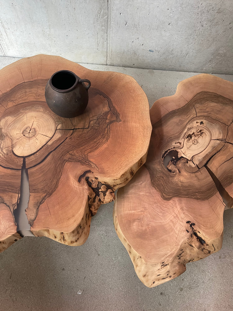Baumscheibe Tisch Couchtische | Holzwerk Hamburg