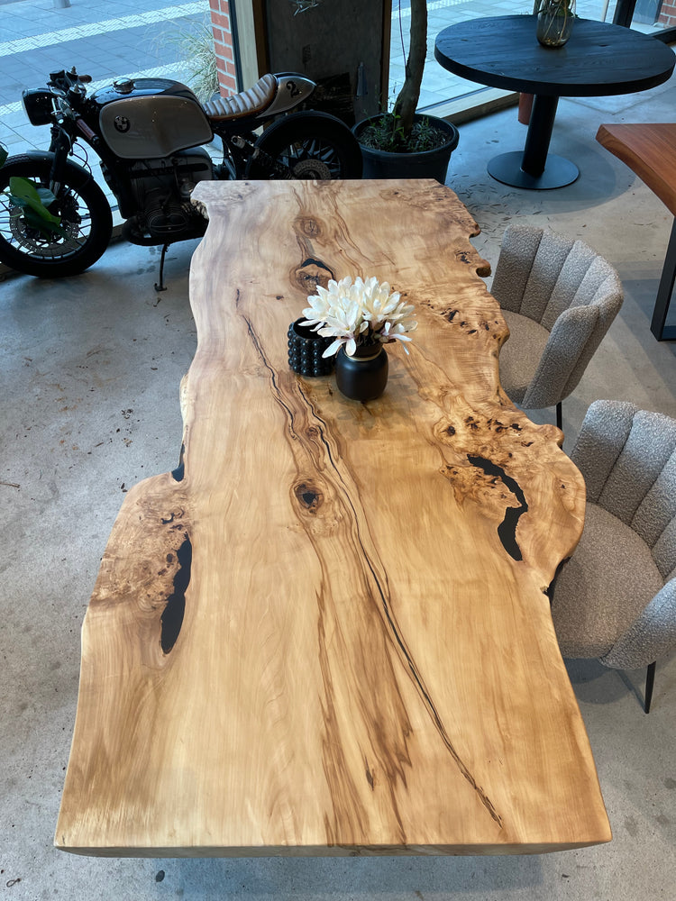 Tisch Unikat aus einer Baumscheibe | Holzwerk Hamburg 